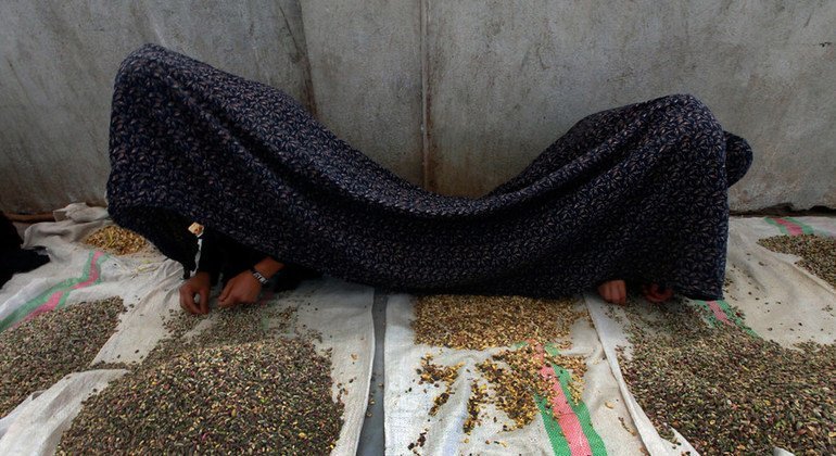 Improved Afghan law still fails victims of sex crimes and violence against women, UN report finds